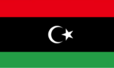 利比亚- 电子货物跟踪单CTN/ECTN 