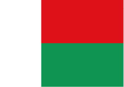 马达加斯加 - 电子货物跟踪单(The Republic of Madagascar - ACD/ENS/CTN)
