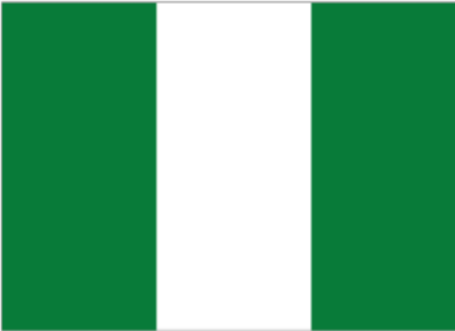 尼日利亚 - 非洲货物电子跟踪单（Nigeria - CTN ）