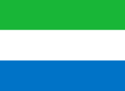塞拉利昂-电子货物追踪单 （Sierra Leone- ENS/CTN)