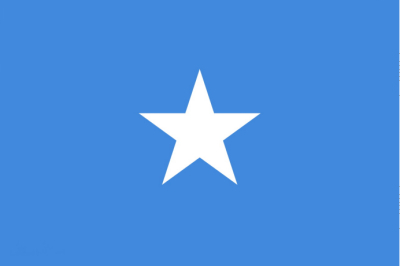 索马里 - 电子货物跟踪单(Somalia - CTN/ECTN)