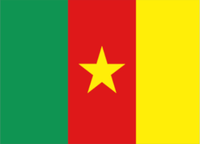 喀麦隆 - 电子货物跟踪单(Cameroon - ECTN/BESC)
