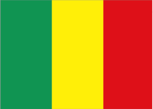 马里 - 电子货物跟踪单(République du Mali - ECTN/BESC) 