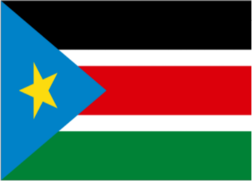南苏丹 - 电子货物跟踪单(The Republic of South Sudan - ECTN/BESC)