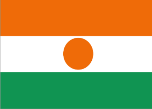 尼日尔 - 电子货物跟踪单(The Republic of Niger - ECTN/BESC)