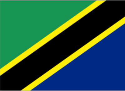 坦桑尼亚 - 电子货物跟踪单(Tanzania-ECTN/BESC)