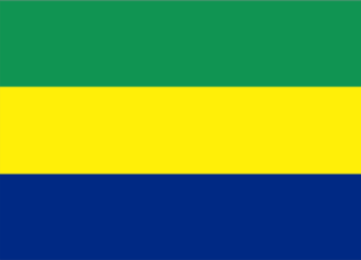 加蓬 - 电子货物跟踪单(Gabon - BIETC/BIC/CTN)