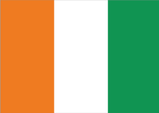 科特迪瓦 - 电子货物跟踪单(The Republic of Côte d'Ivoire - BSC)