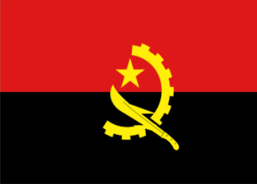 安哥拉 - 电子货物跟踪单(República de Angola - CNCA)