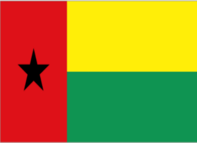 几内亚比绍 - 电子货物跟踪单(Guinea Bissau - CTN/CEE)